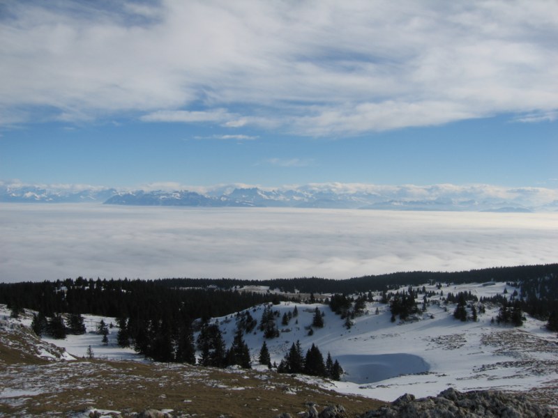 mont-tendre-randonn-e-d-t-depuis-le-col-du-marchairuz-dans-la-canton